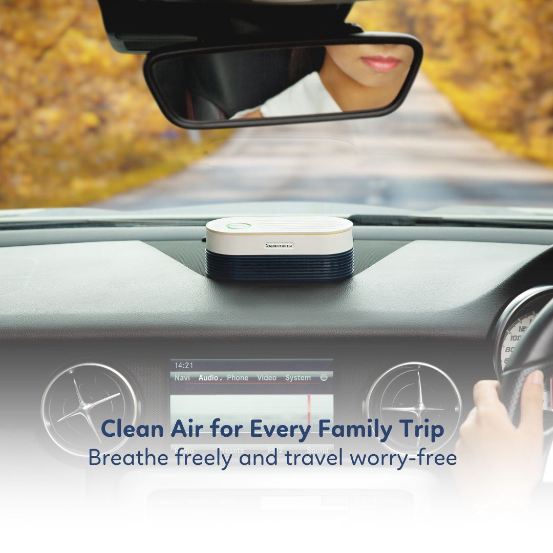 AirPury Portable In-car Air Purifier