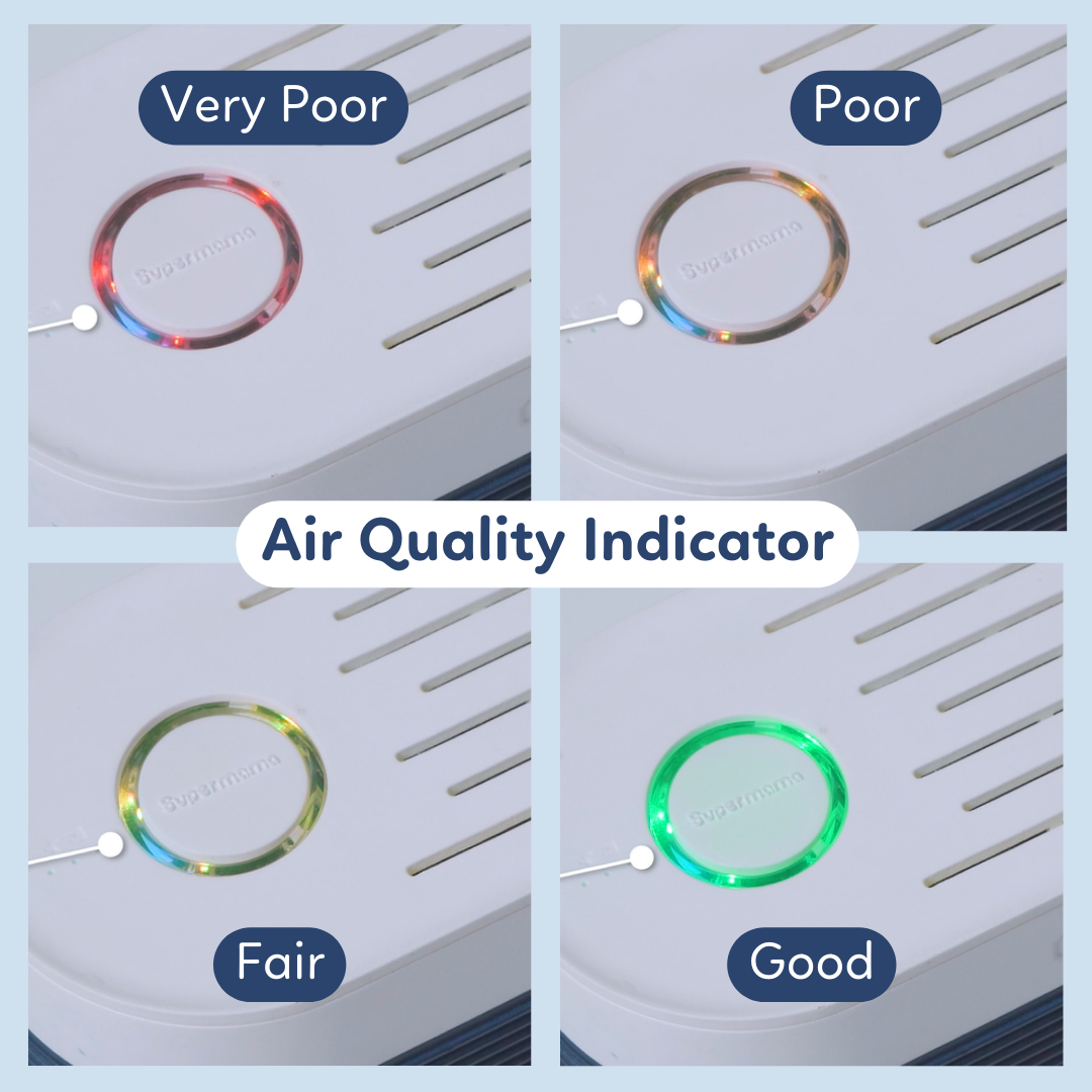 AirPury Portable In-car Air Purifier